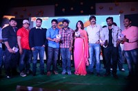 Patas Movie Audio Release